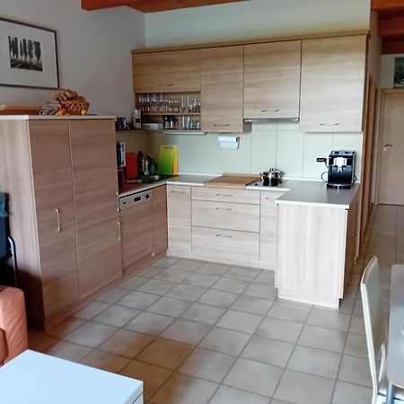 Apartmán Lipno Doky A12 Apparment Lipno nad Vltavou Exteriér fotografie