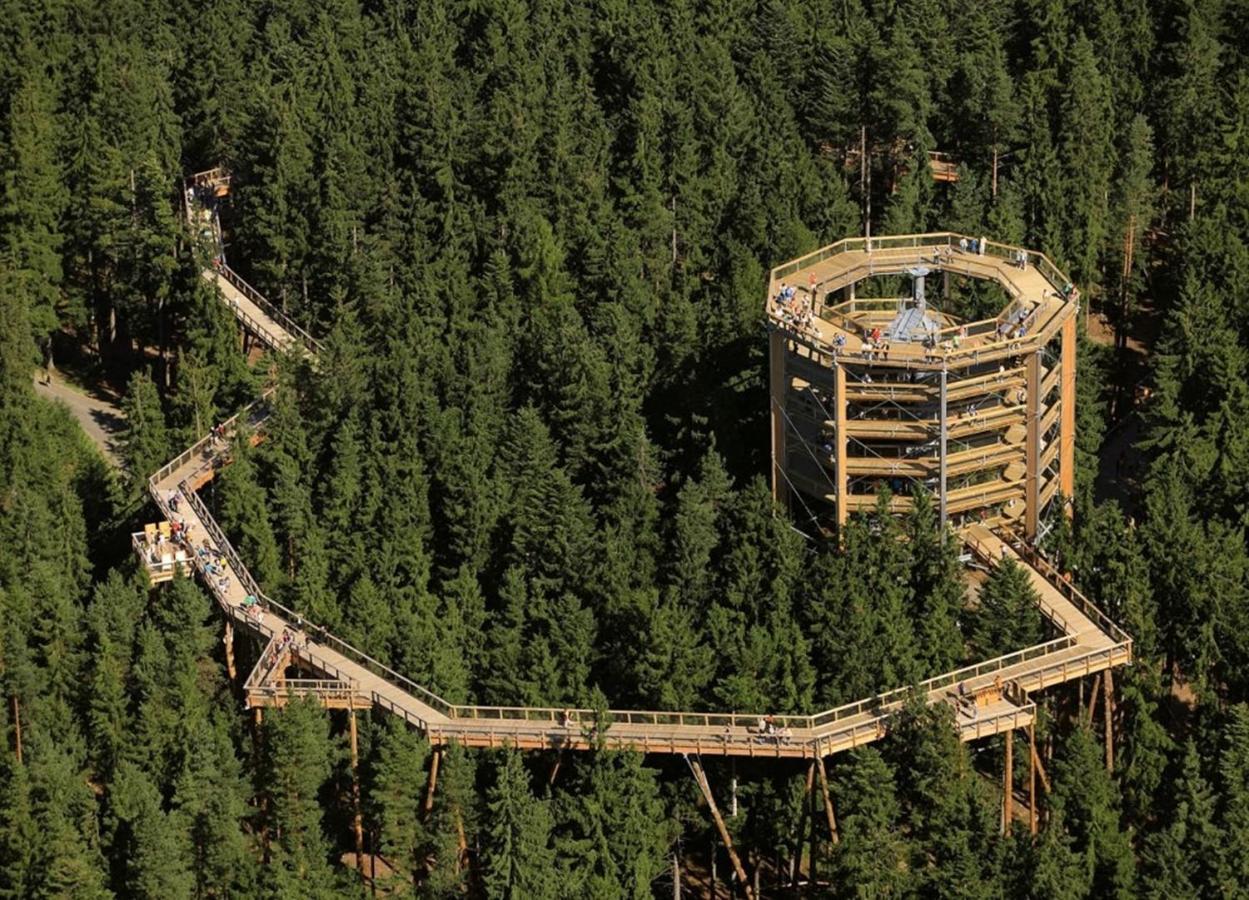 Apartmán Lipno Doky A12 Apparment Lipno nad Vltavou Exteriér fotografie